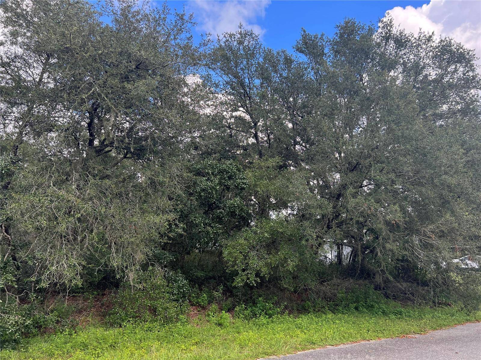 Ocala, FL 34473,0 SW 165TH LOOP