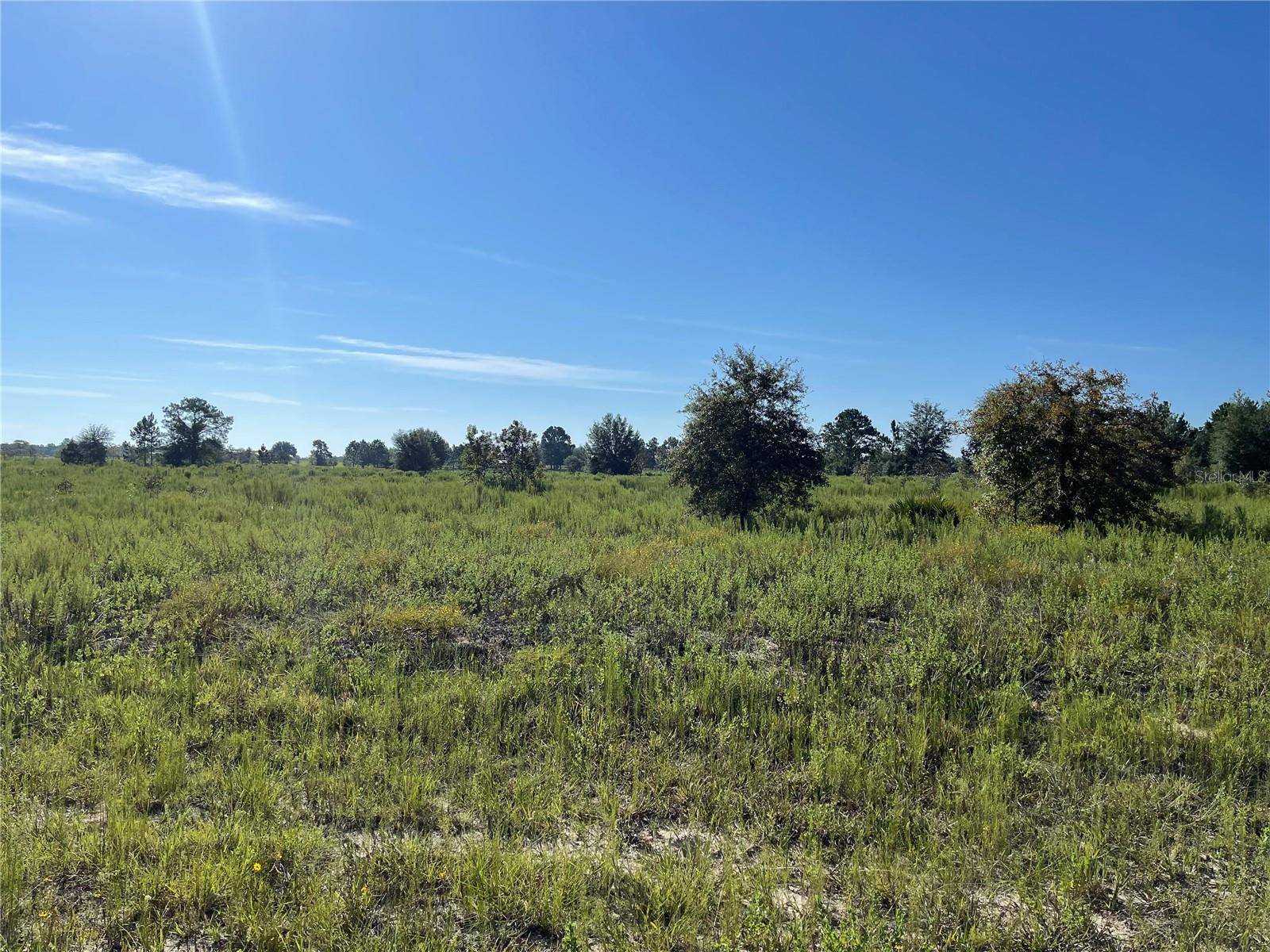 Morriston, FL 32668,Lot 6 SE 114 AVE