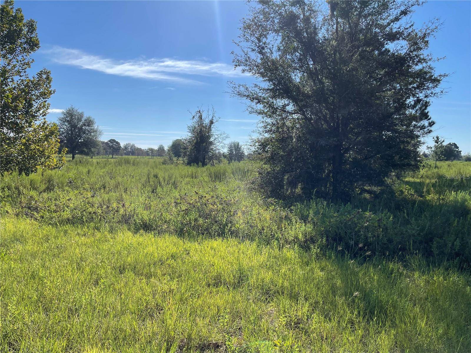 Morriston, FL 32668,Lot 7 SE 114 AVE