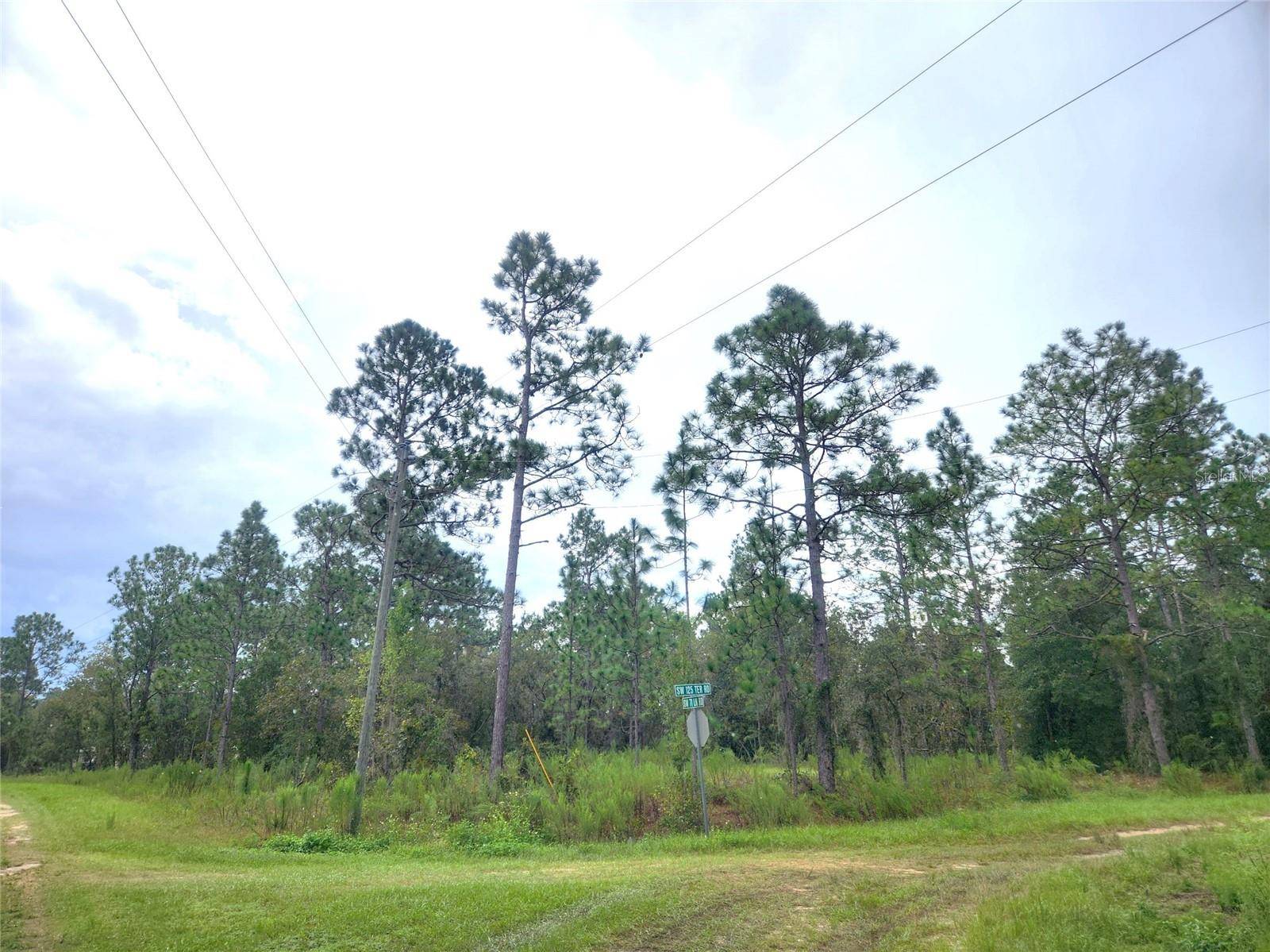 Ocala, FL 34481,TBD SW 125TH TERRACE RD