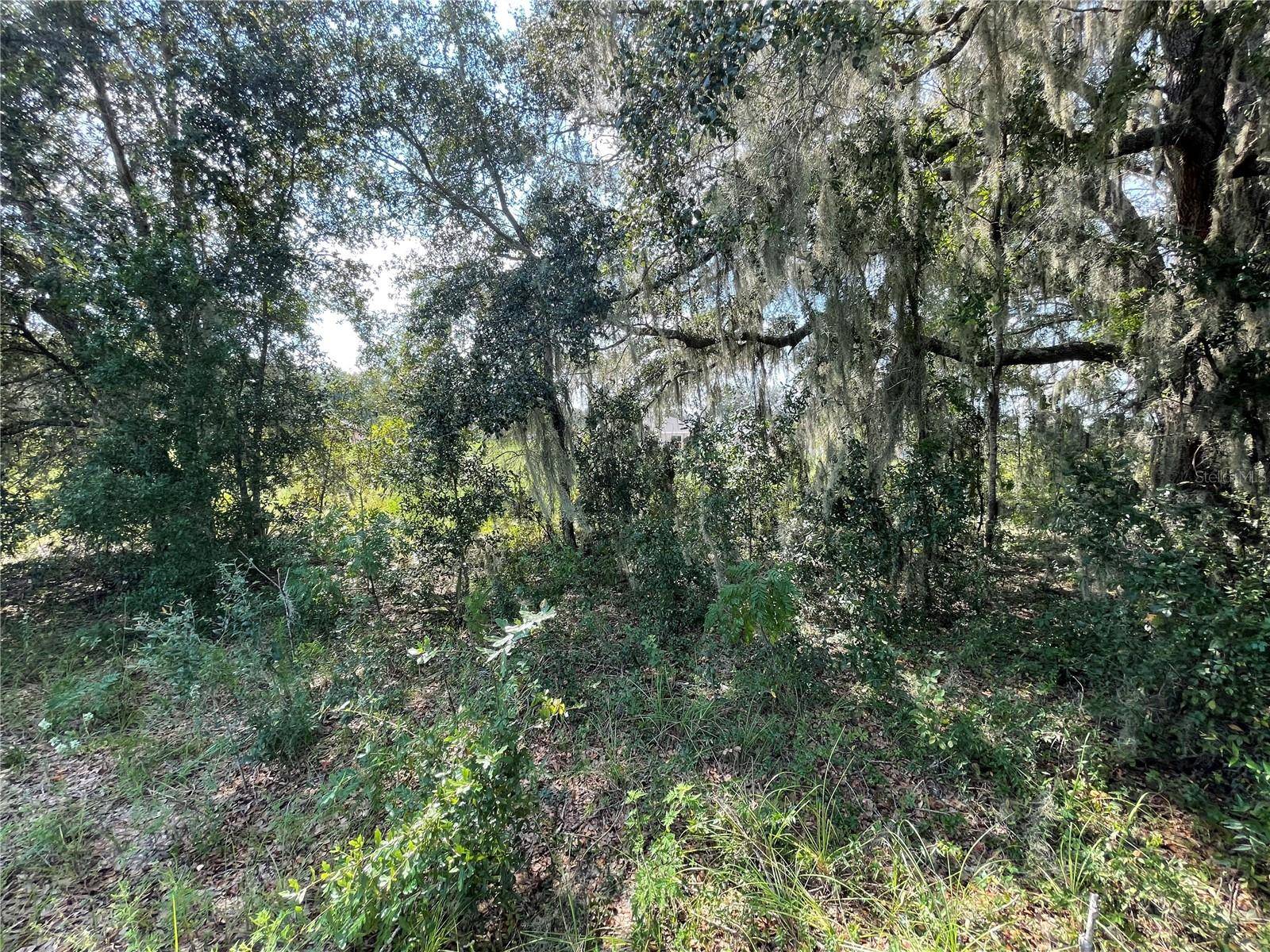 Dunnellon, FL 34432,Lot 9 SW 104 LN