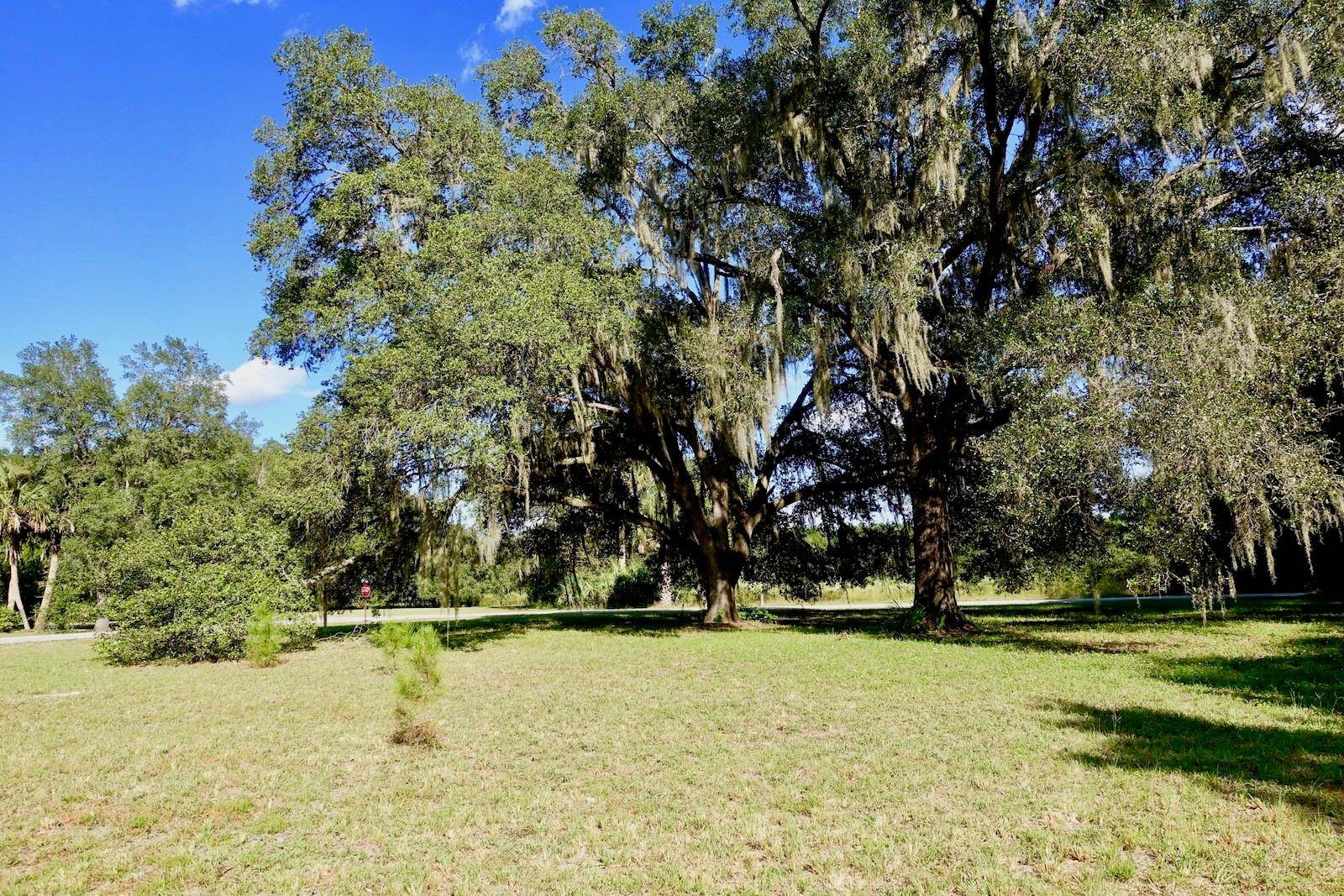 Dunnellon, FL 34432,TBD SW 175TH CT