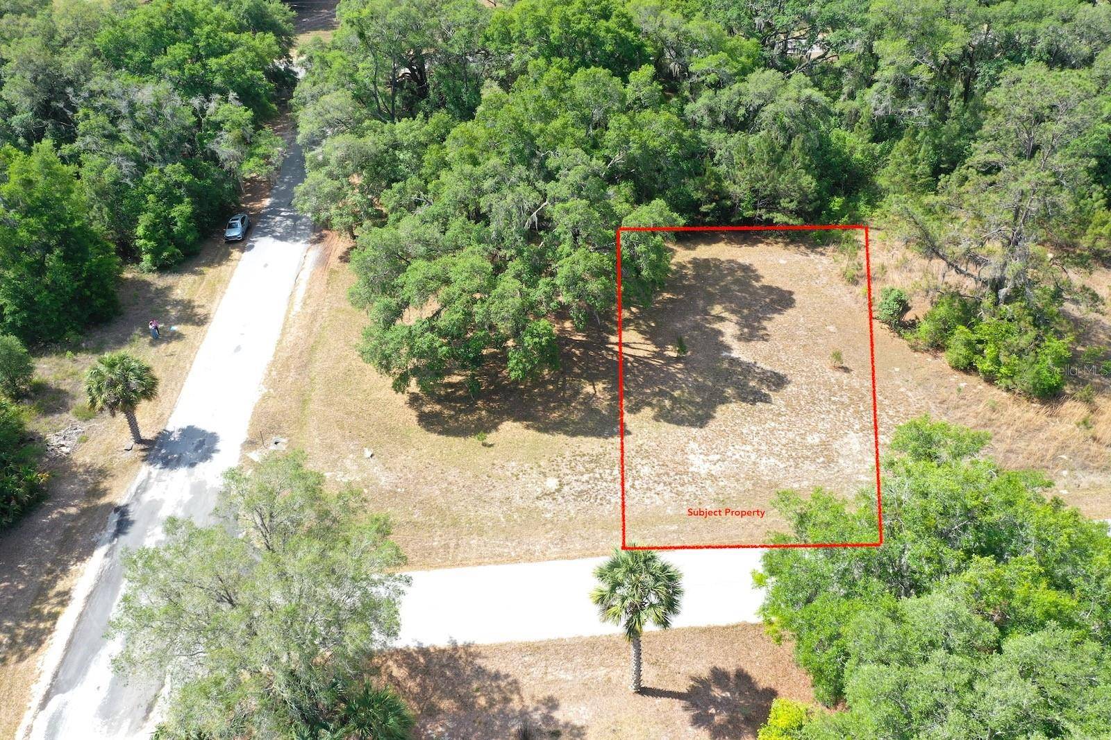 Dunnellon, FL 34432,TBD SW 175TH CT