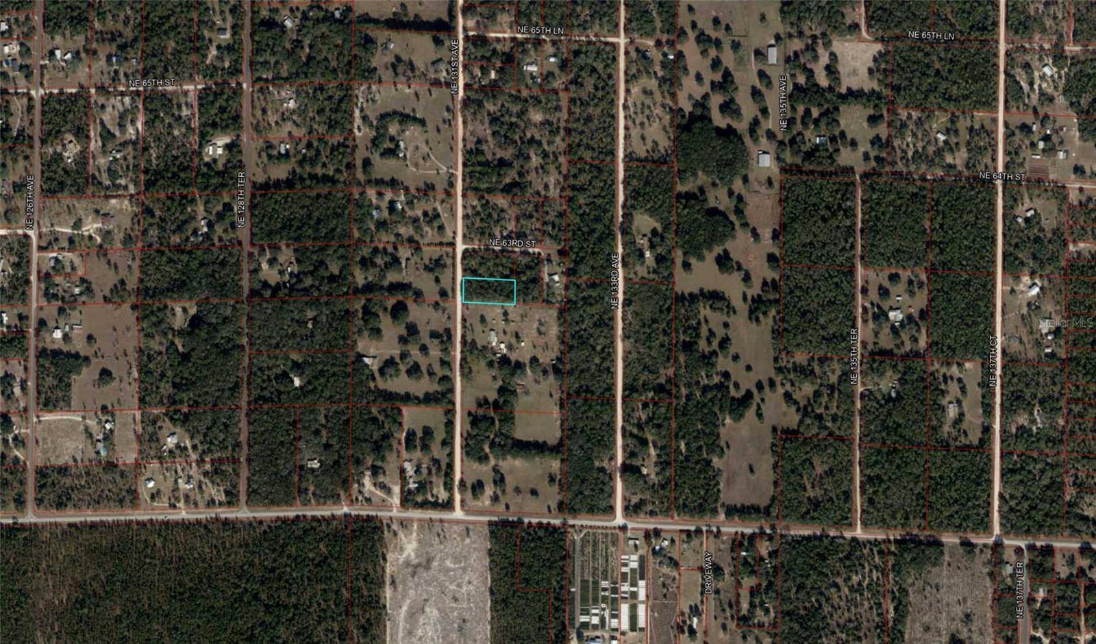 Williston, FL 32696,NE 131 AVE