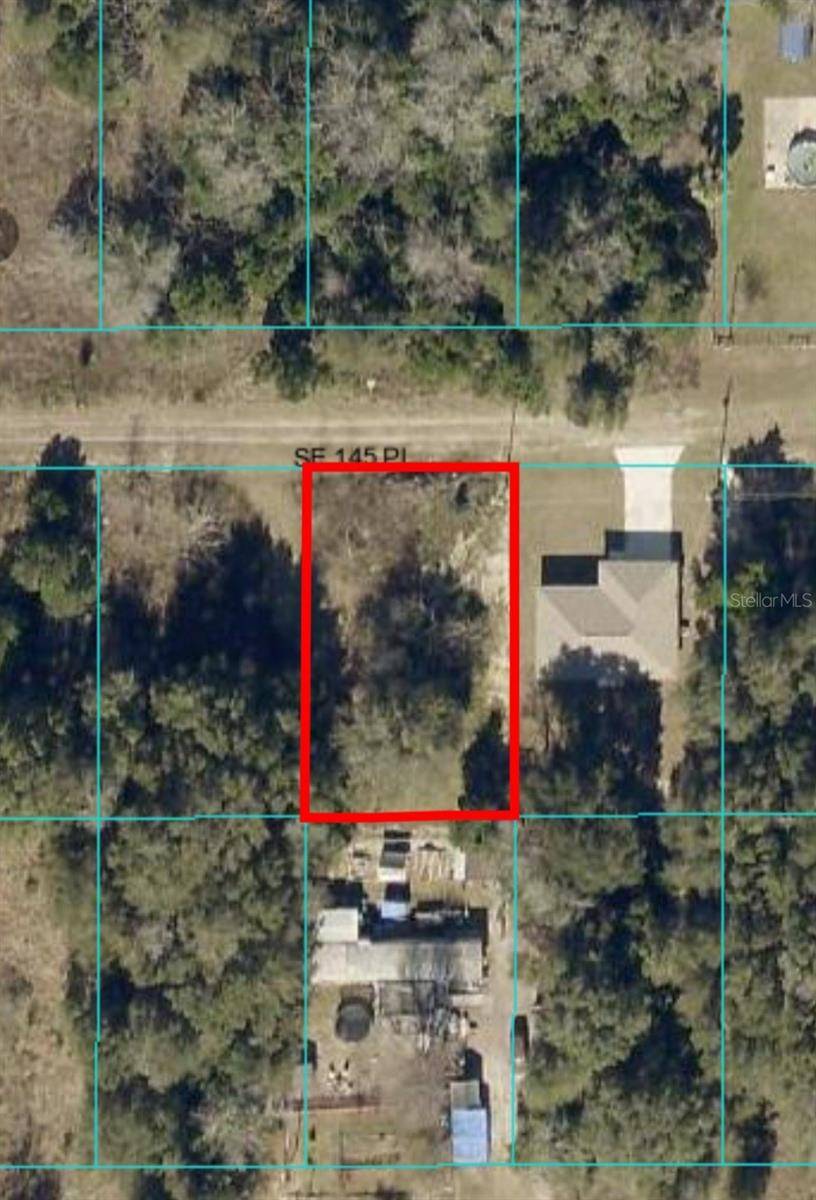 Summerfield, FL 34491,00 SE 145TH PL