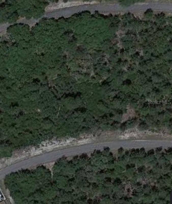 Ocklawaha, FL 32179,LOT 31 FISHER TRL