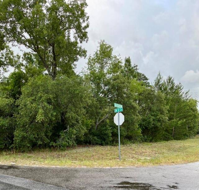 Ocala, FL 34473,Lot 1 SW 52 CIR