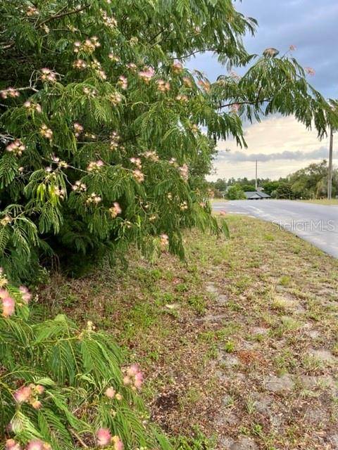 Ocala, FL 34473,Lot 1 SW 52 CIR