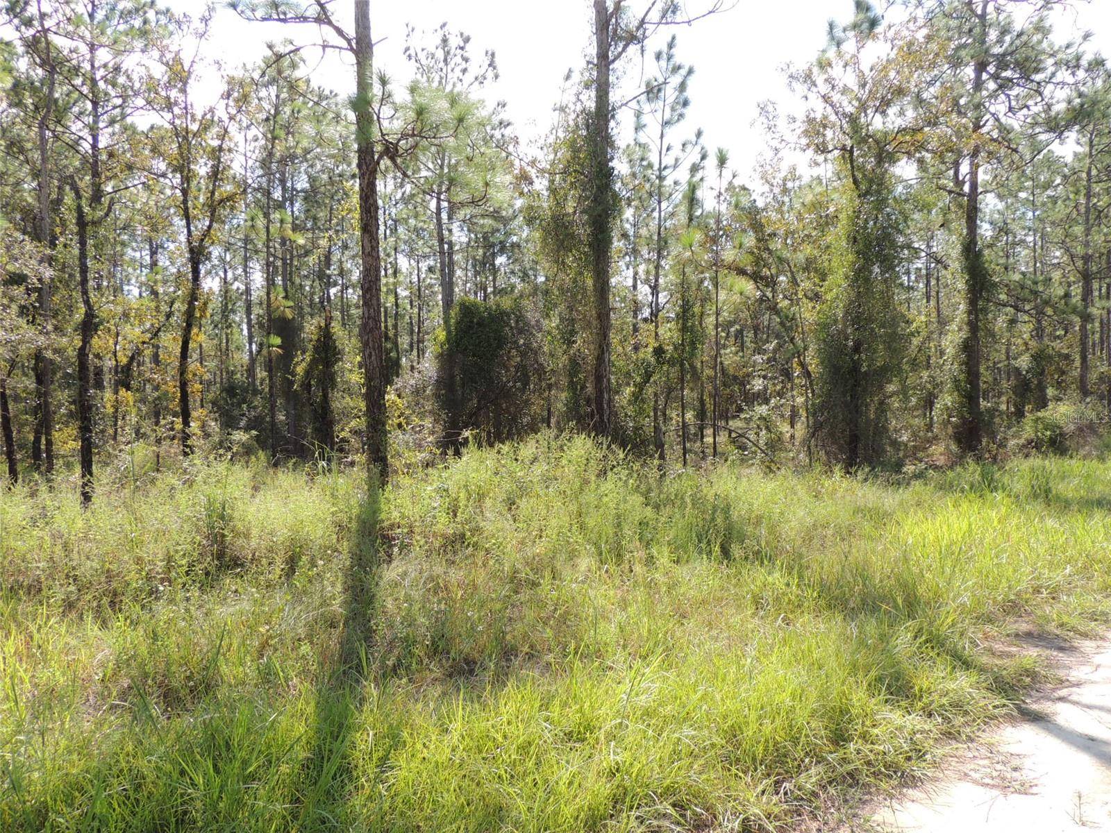 Morriston, FL 32668,14290 SE 21ST PL