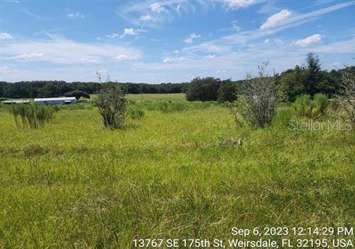 Weirsdale, FL 32195,13767 SE 175TH ST