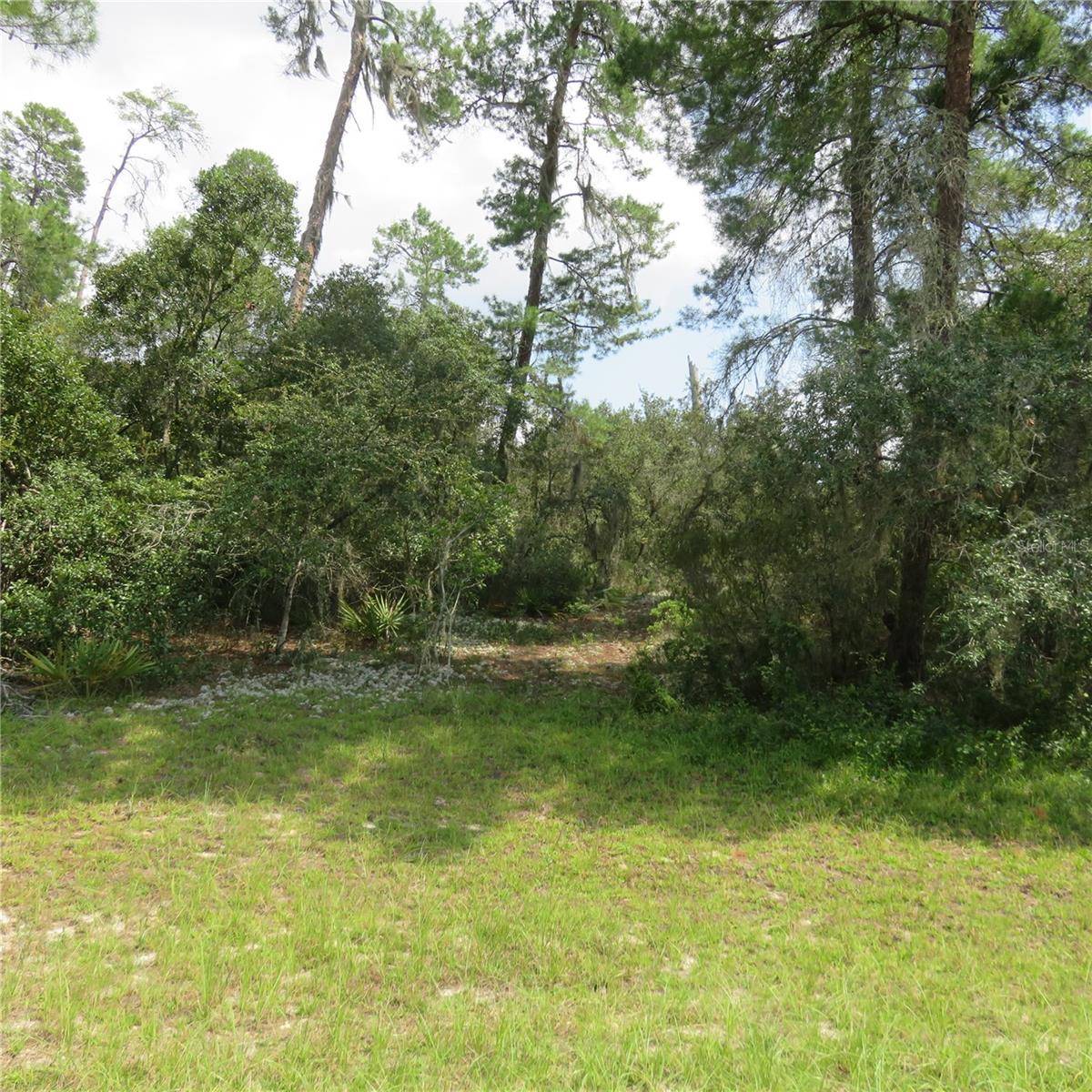 Ocala, FL 34473,00 SW 32ND CIR