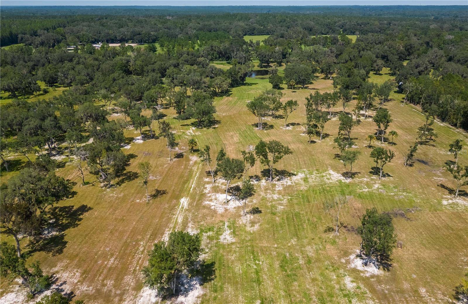 Reddick, FL 32686,TBD COUNTY RD 316