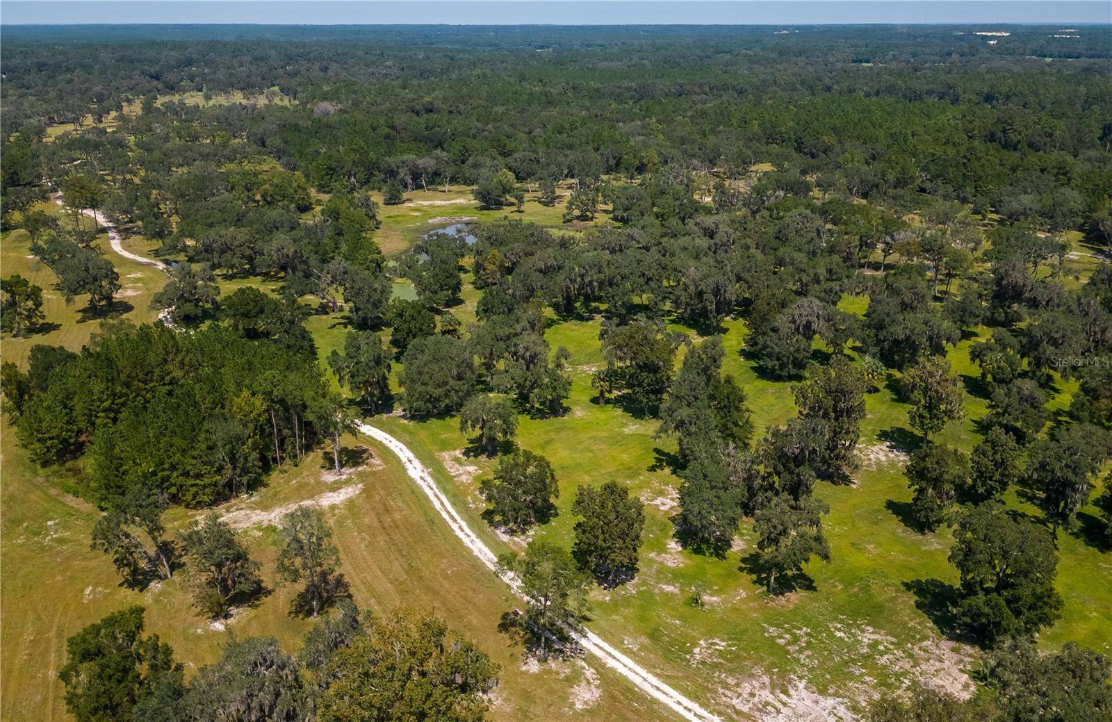 Reddick, FL 32686,TBD COUNTY RD 316