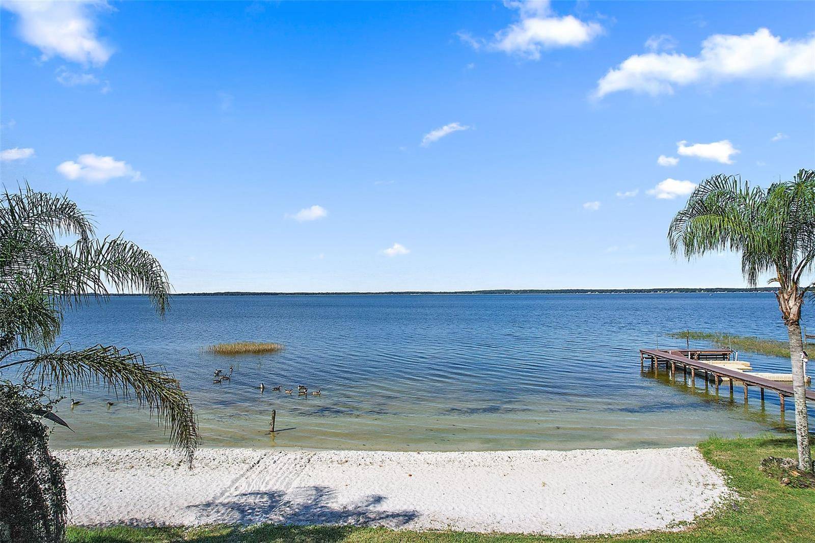 Eastlake Weir, FL 32133,14586 SE 139TH PL