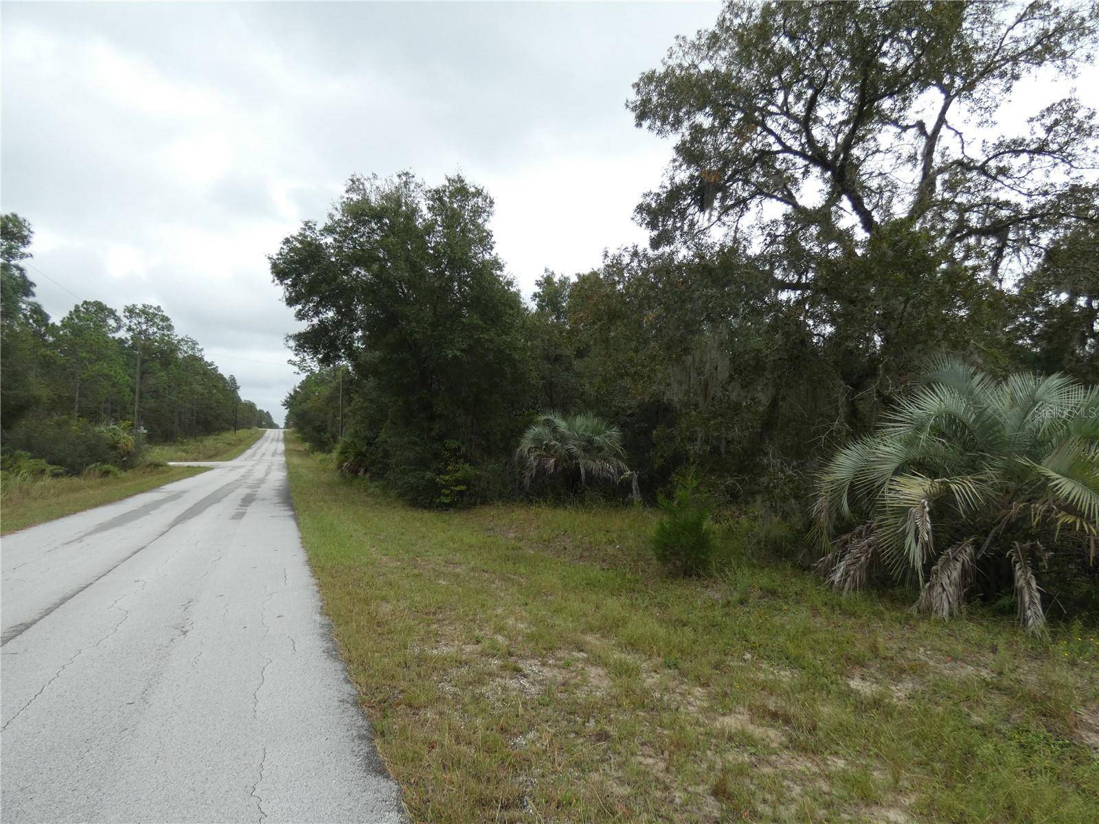 Dunnellon, FL 34431,LOT 7 SW NEPTUNE BLVD