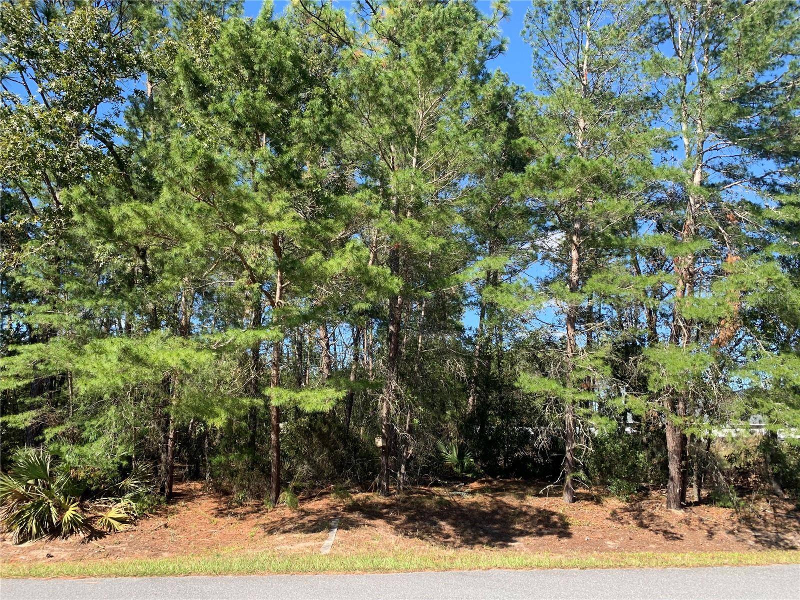 Ocala, FL 34476,Lot 151 SW 113TH PL