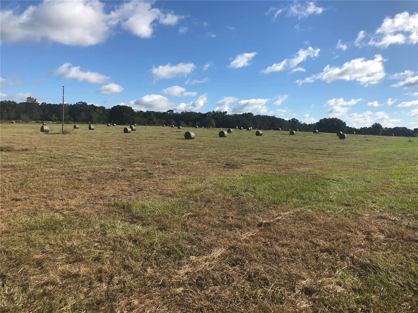 Reddick, FL 32686,TBD NW 133RD LN