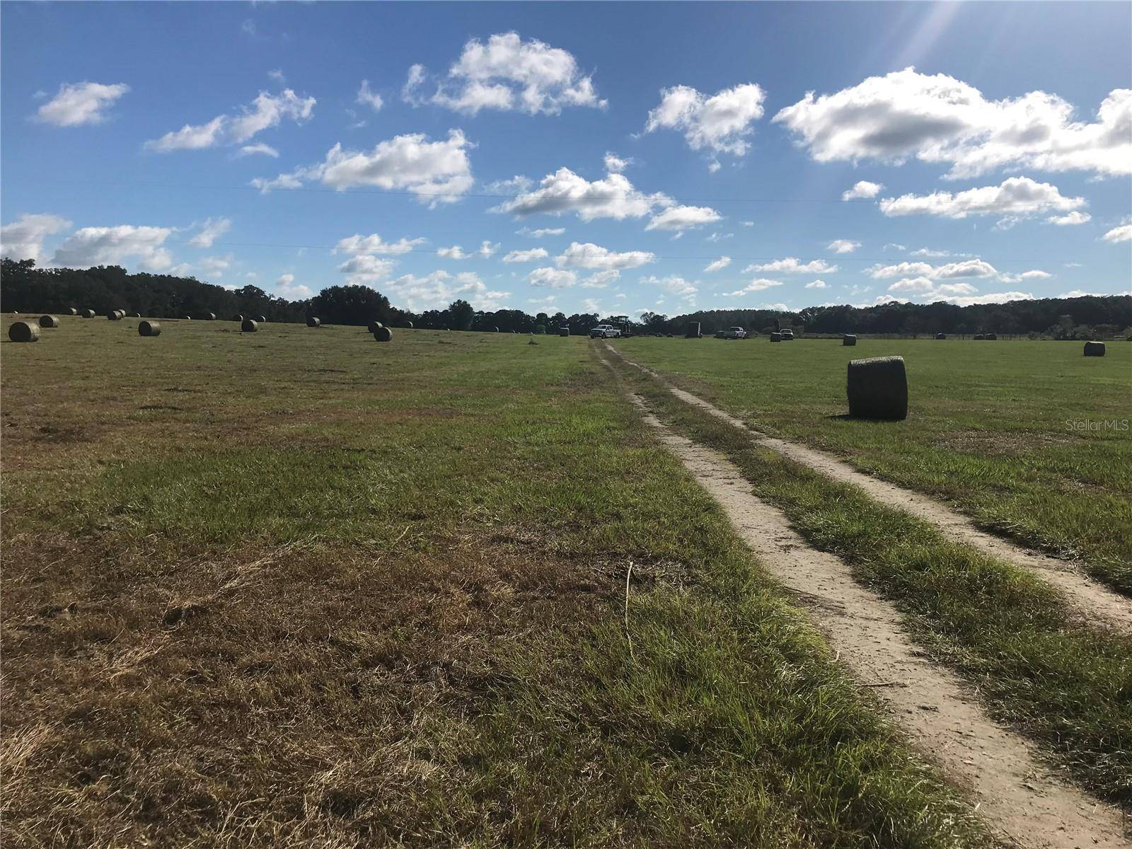 Reddick, FL 32686,TBD NW 133RD LN