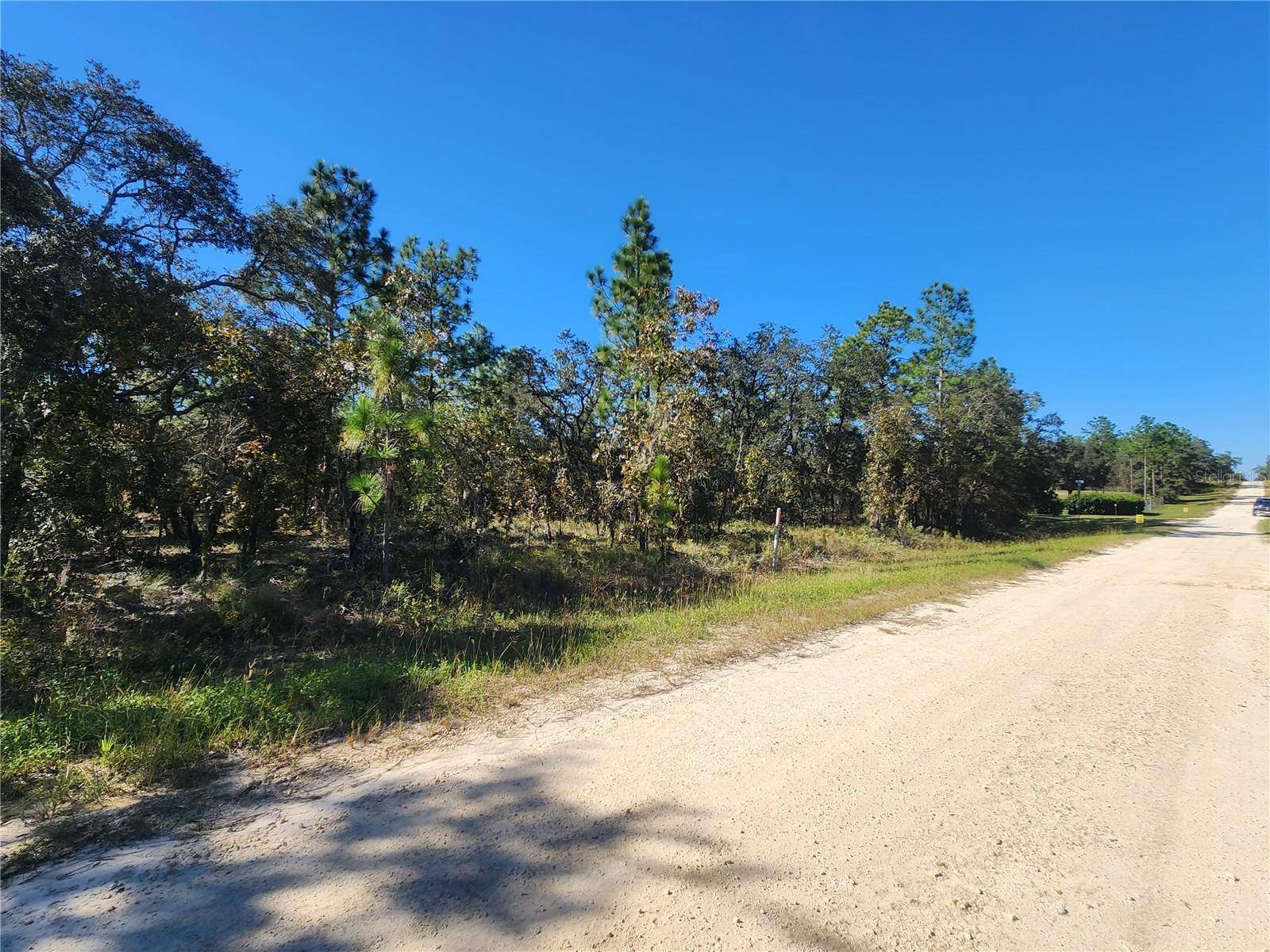 Dunnellon, FL 34432,TBD SW 88TH ST