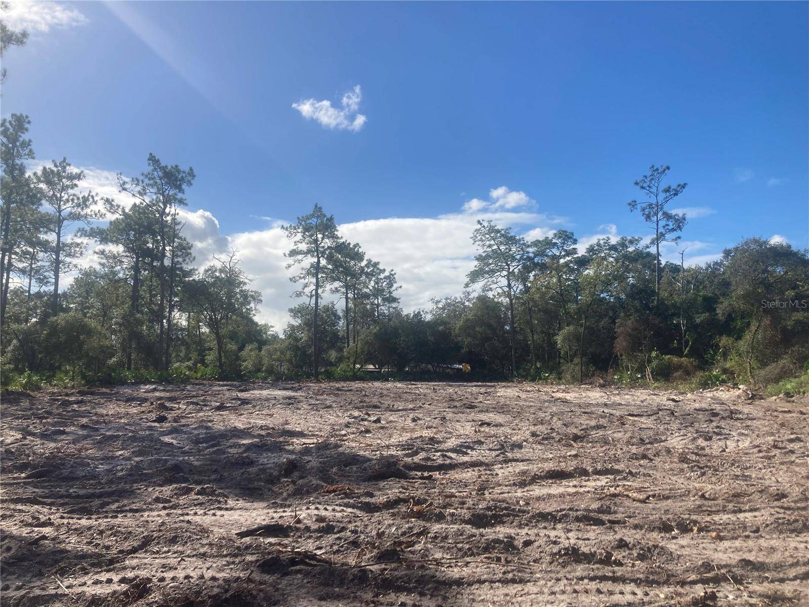 Dunnellon, FL 34432,0 SW 151ST PL