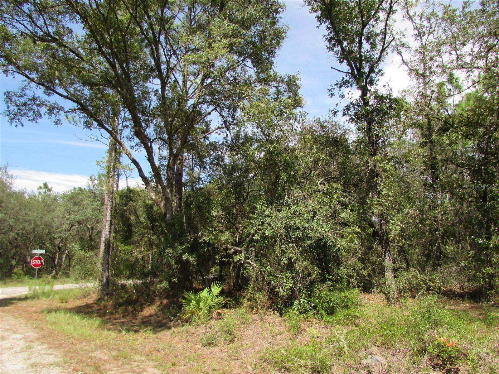 Dunnellon, FL 34431,TBD SE 123RD AVE