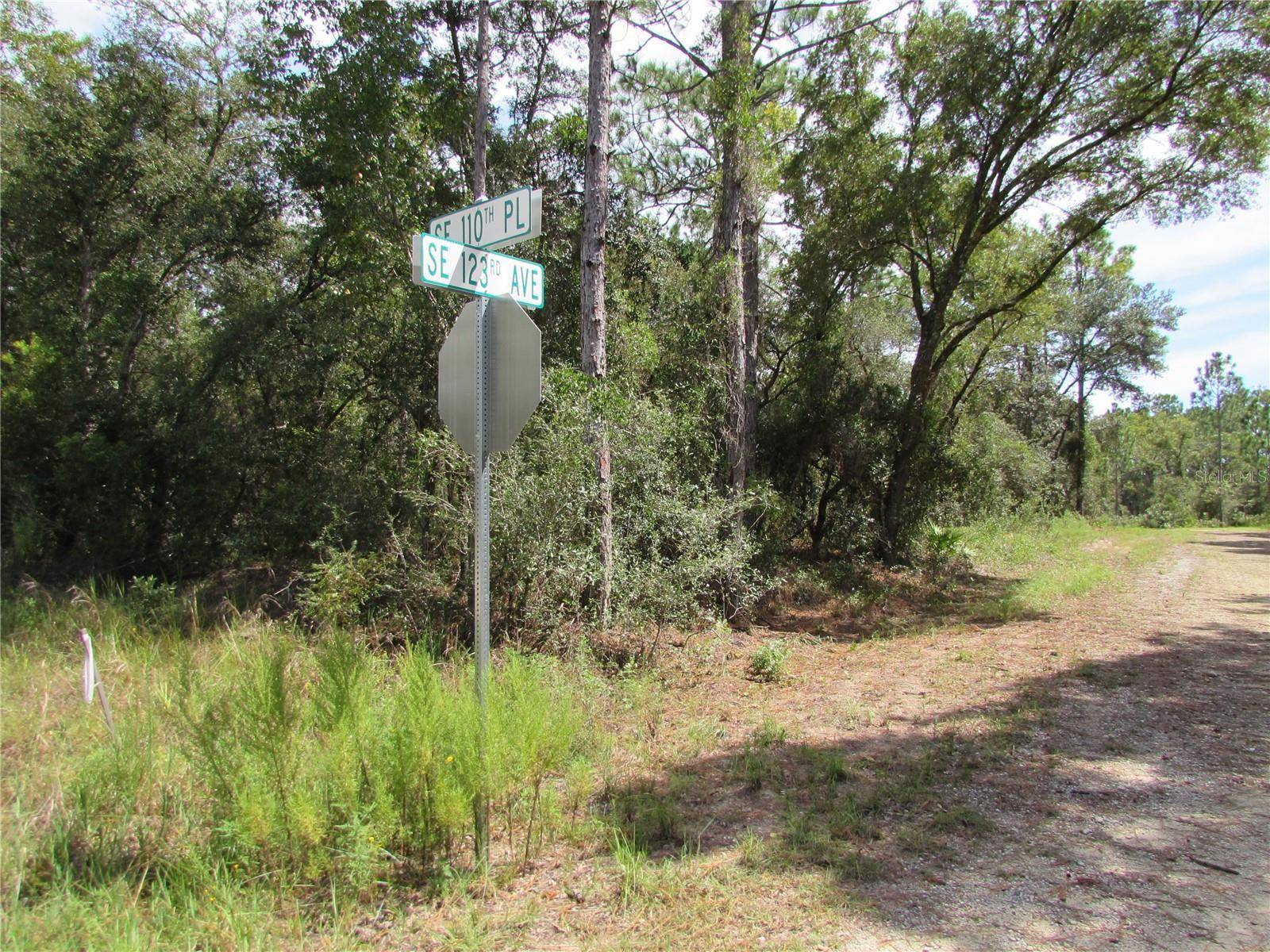 Dunnellon, FL 34431,TBD SE 123RD AVE