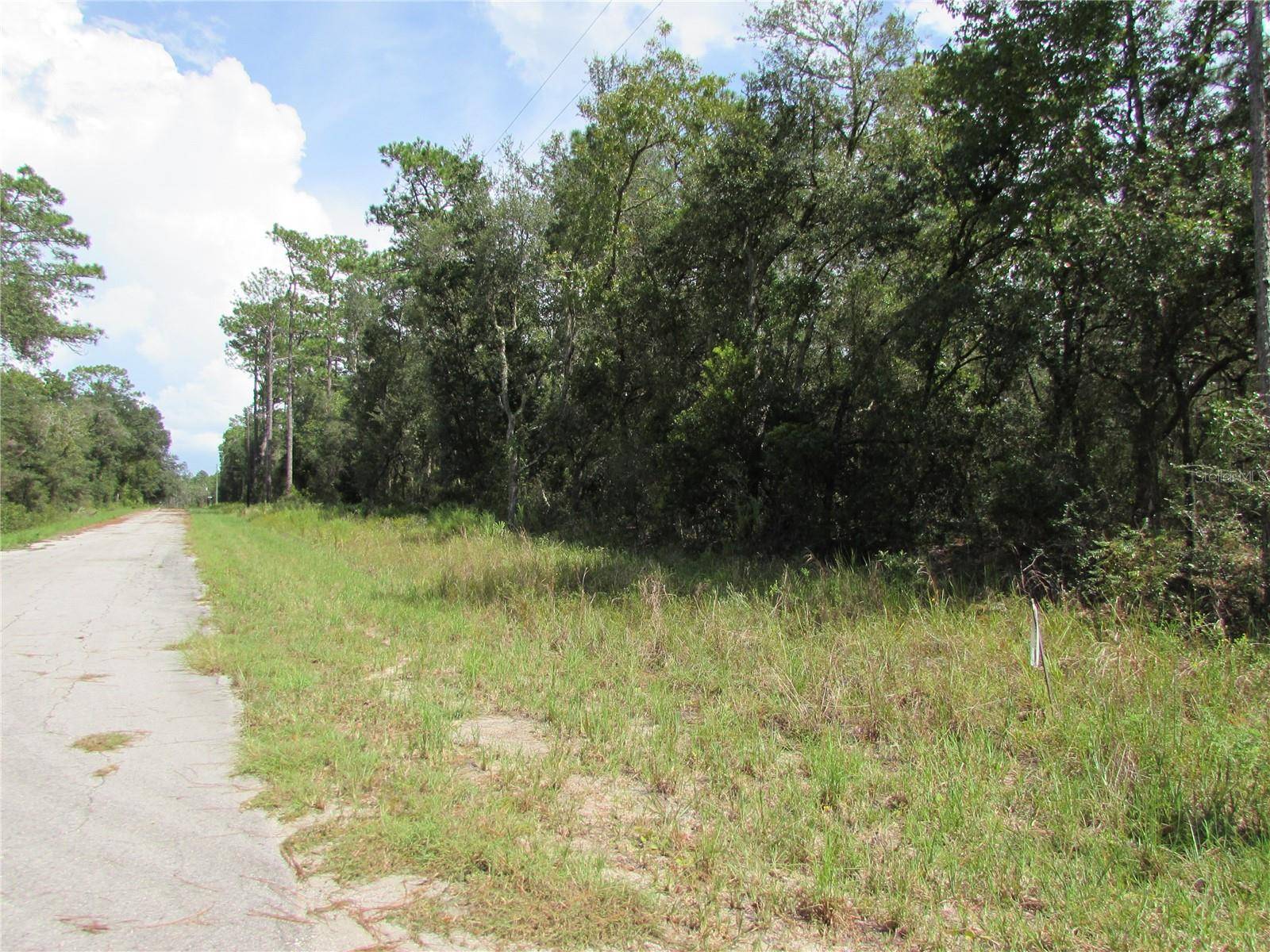 Dunnellon, FL 34431,TBD SE 123RD AVE