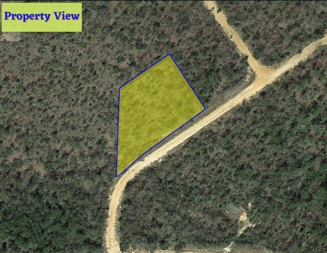 Alford, FL 32420,LOT 35 OLIVIA DR