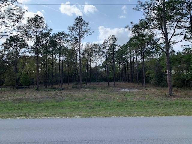 Dunnellon, FL 34432,129 TERRACE RD