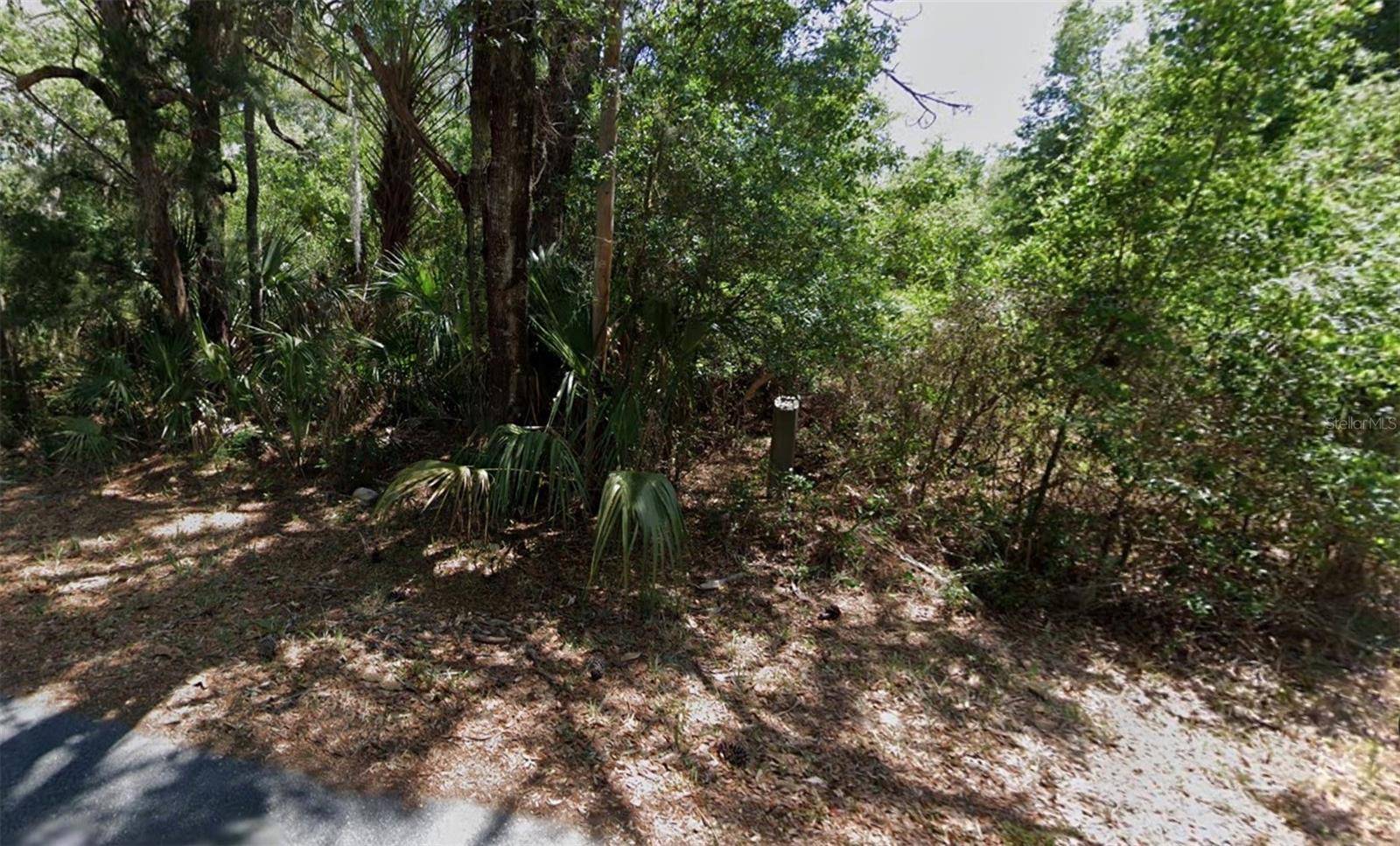 Crystal River, FL 34429,9652 W GREEN LN