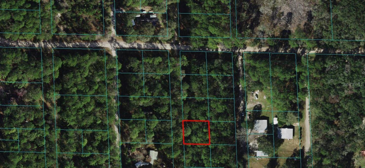 Citra, FL 32113,00 NE 66TH CT