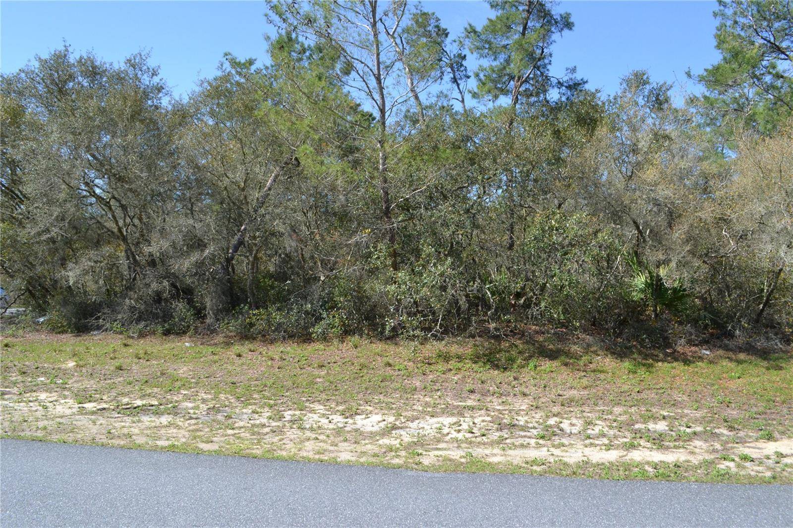 Ocala, FL 34473,00 SW 168TH LOOP