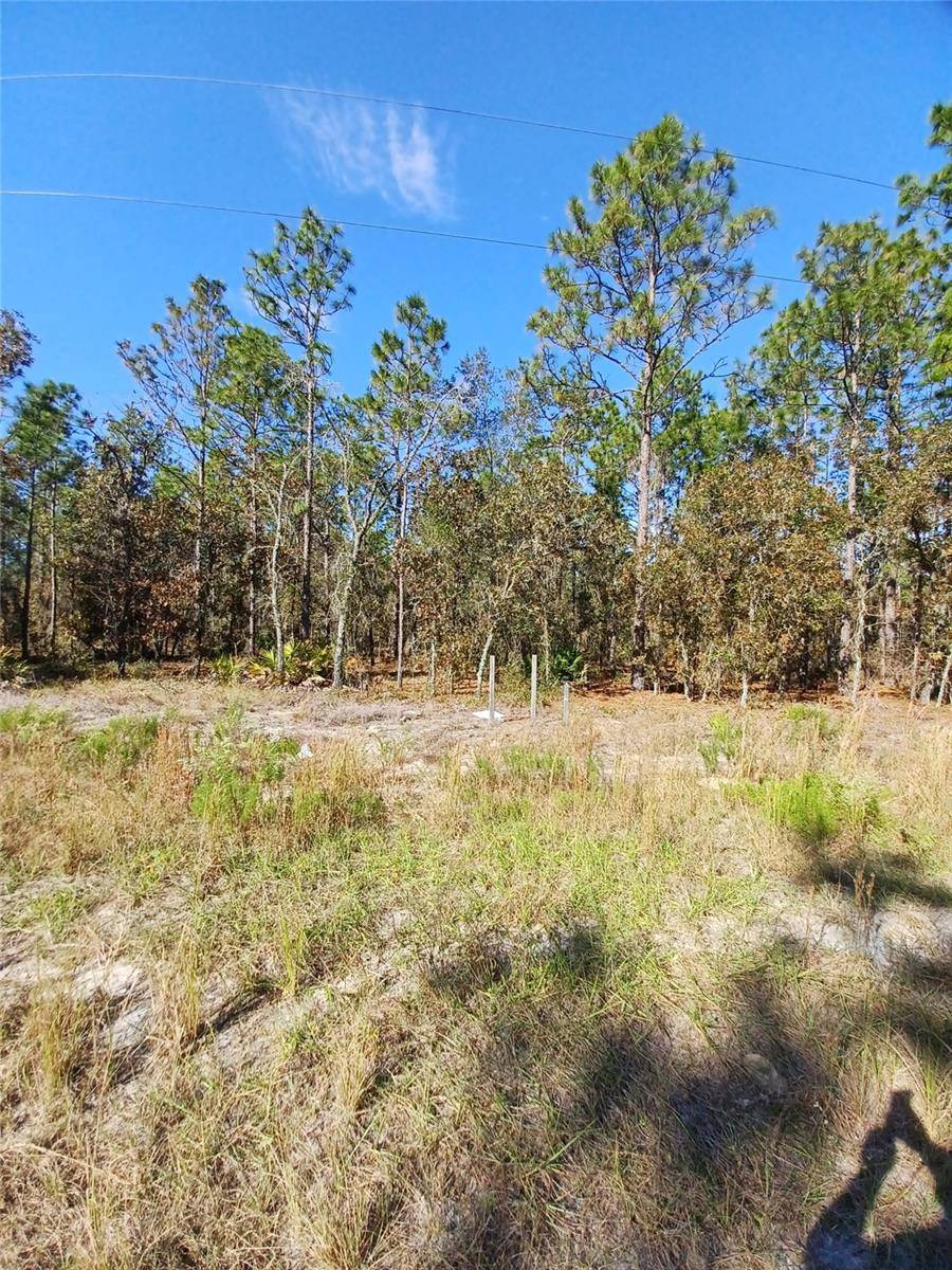 Dunnellon, FL 34432,128TH TERRACE TER