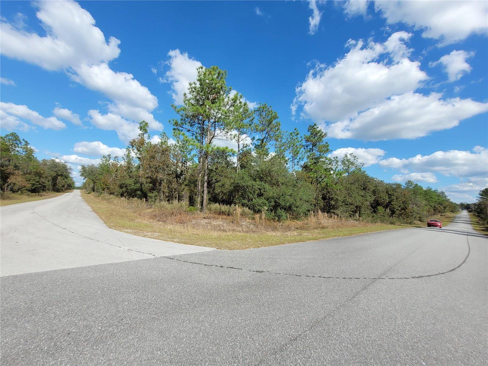 Dunnellon, FL 34431,0 SW TAMIAMI PL