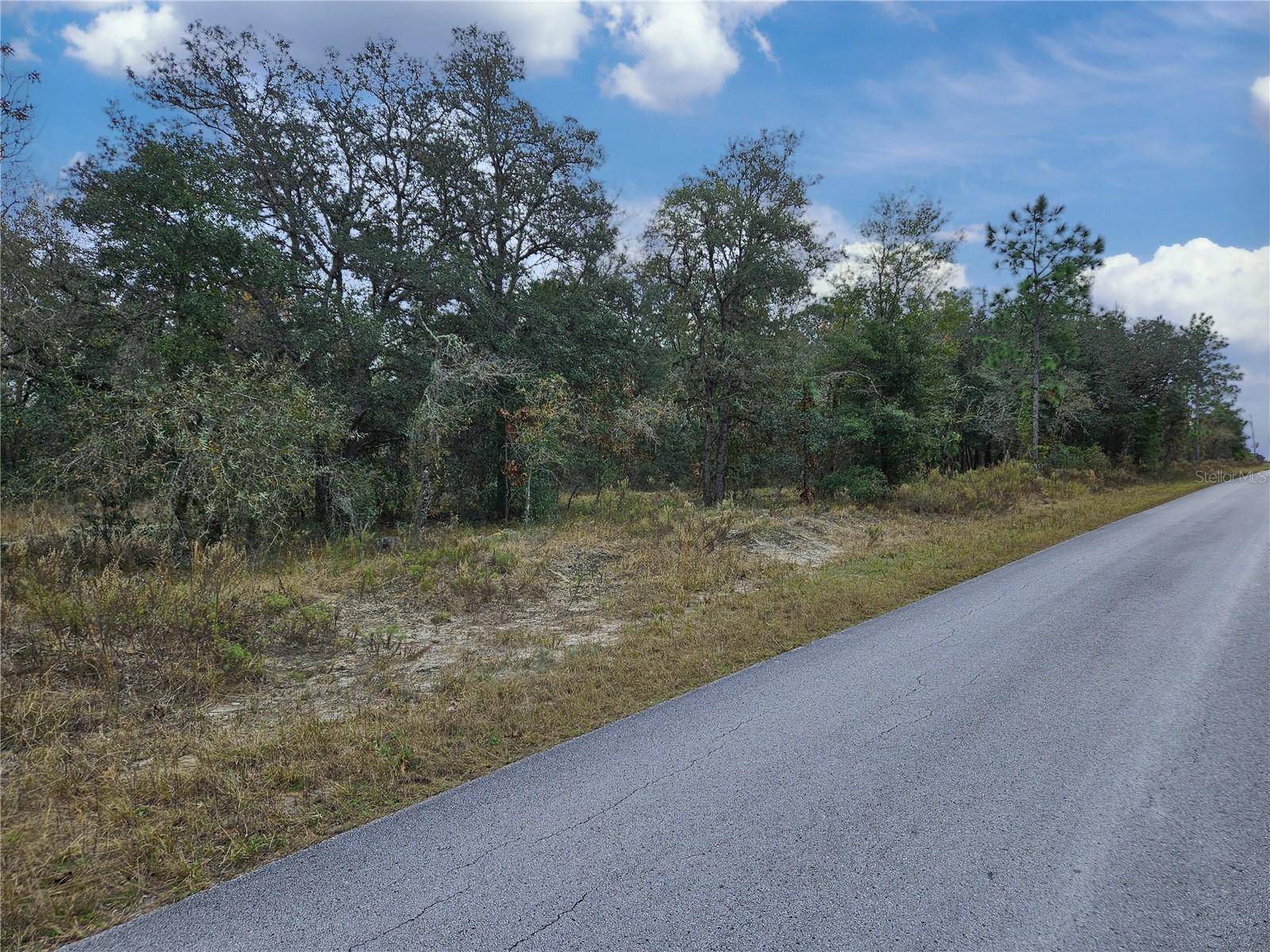 Dunnellon, FL 34431,1281 SW VIBURNUM RD