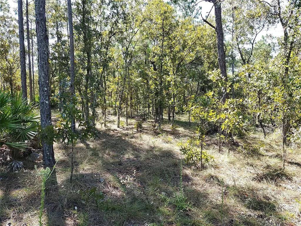 Ocala, FL 34481,00 SW 62ND PL