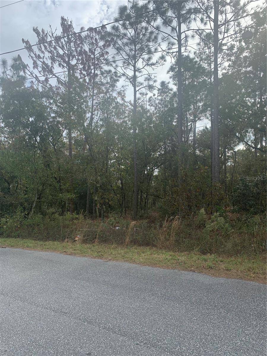 Ocala, FL 34472,0 PECAN DRIVE LOOP