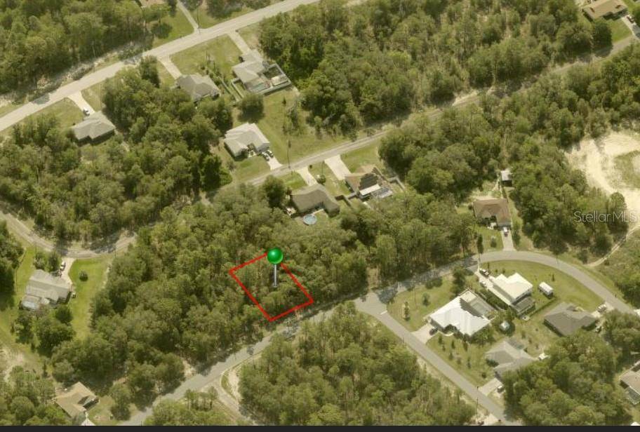 Citrus Springs, FL 34433,8293 N AMBOY DR