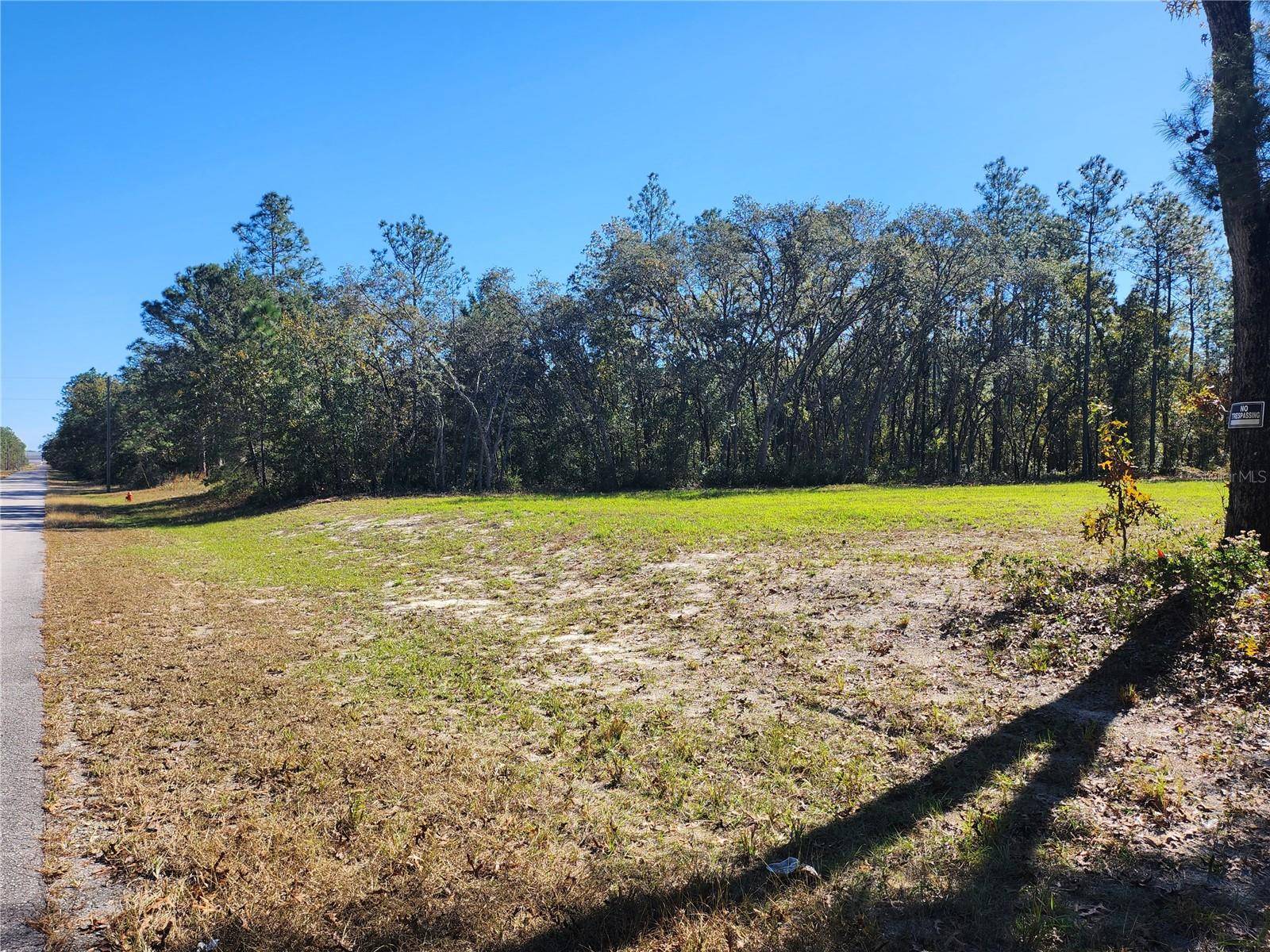 Ocala, FL 34473,TBD SW 137 ST