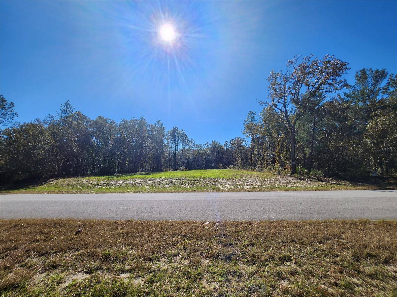 Ocala, FL 34473,TBD SW 137 ST