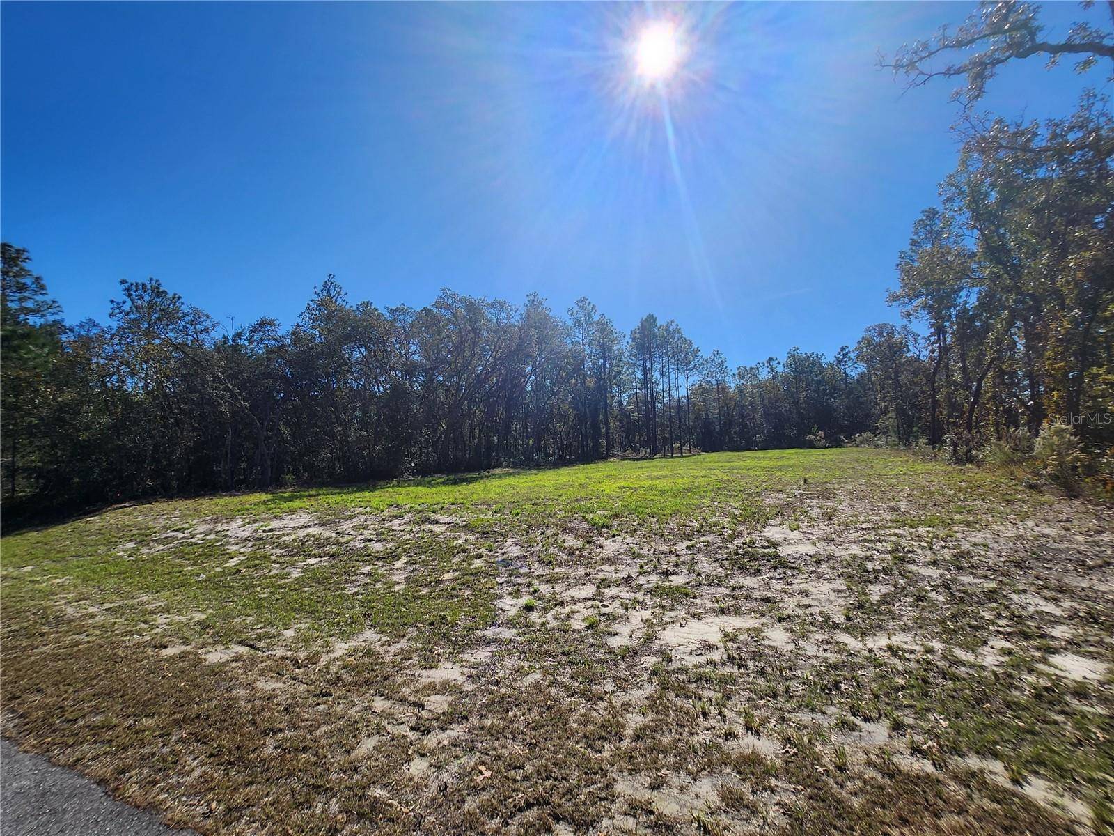 Ocala, FL 34473,TBD SW 137 ST