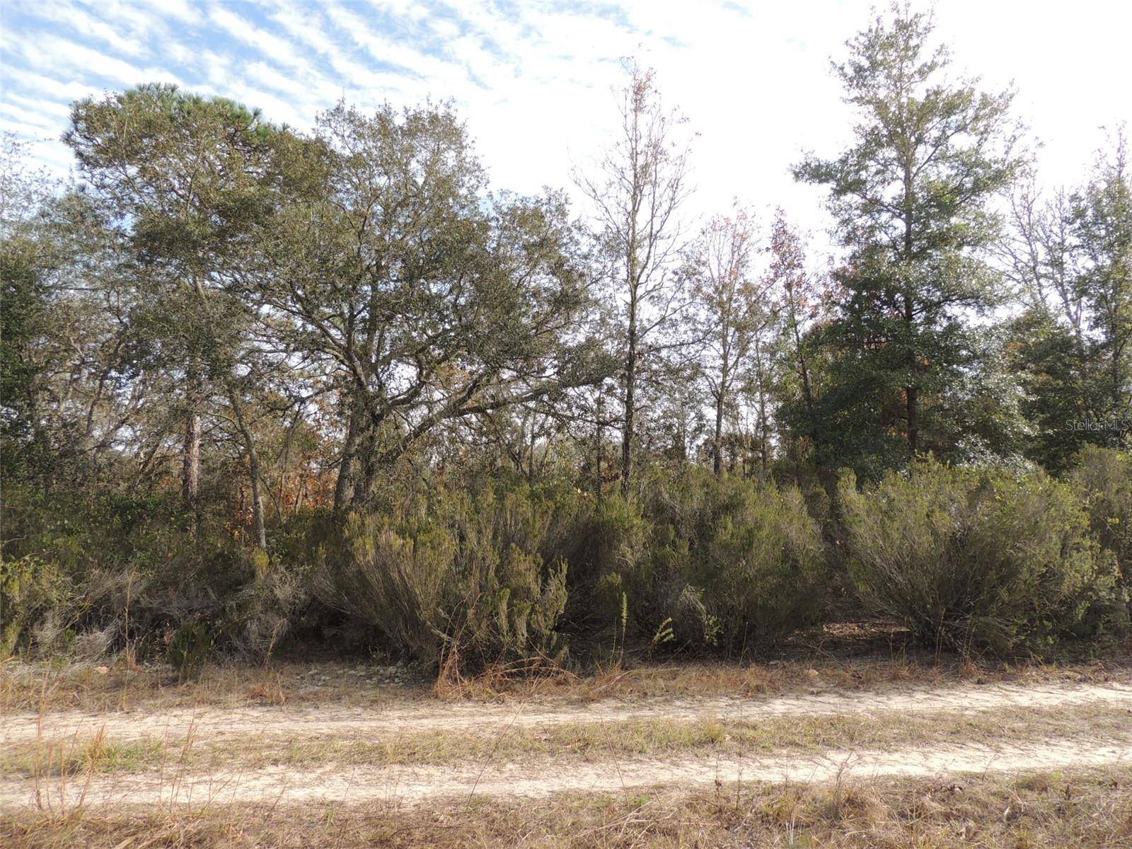 Williston, FL 32696,6691 NE 112TH AVE