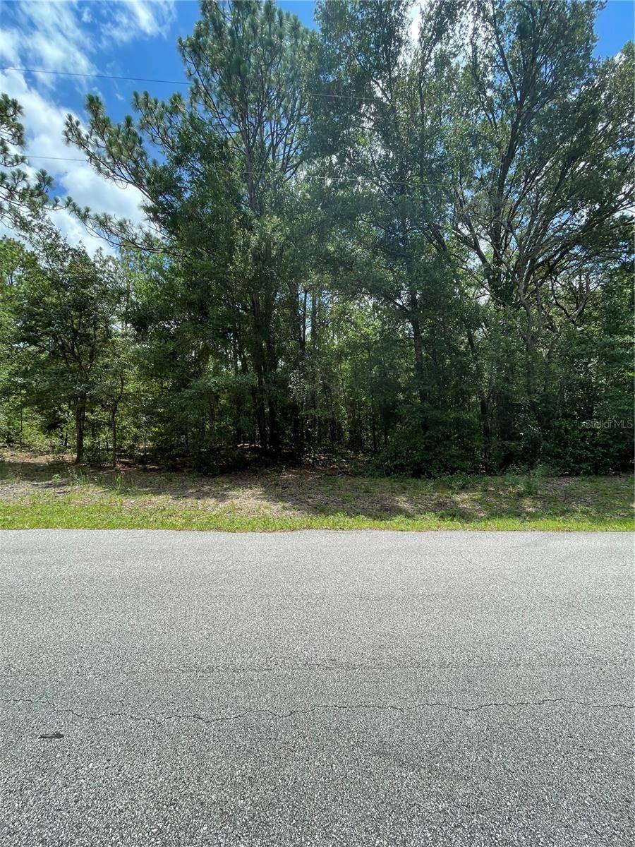 Dunnellon, FL 34431,TBD SW 59TH LN
