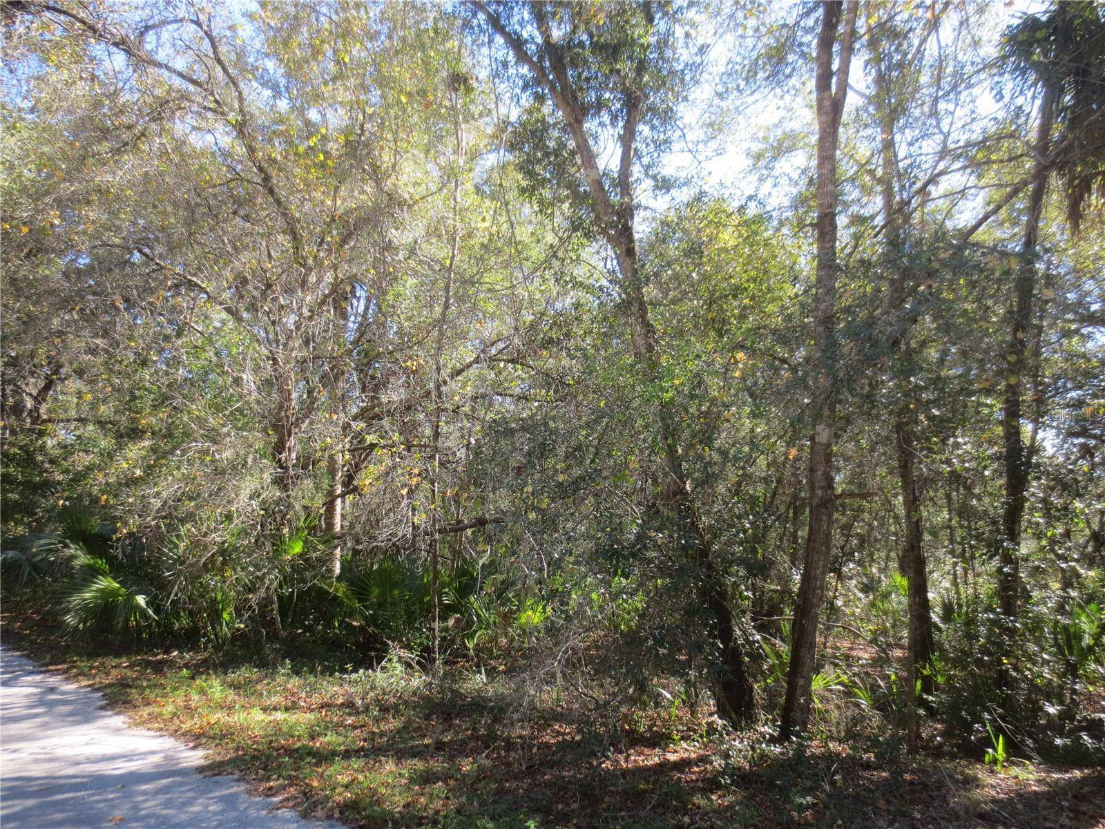 Ocklawaha, FL 32179,0 SE 63RD LN