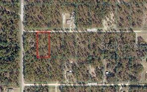 Dunnellon, FL 34432,91 ST LN