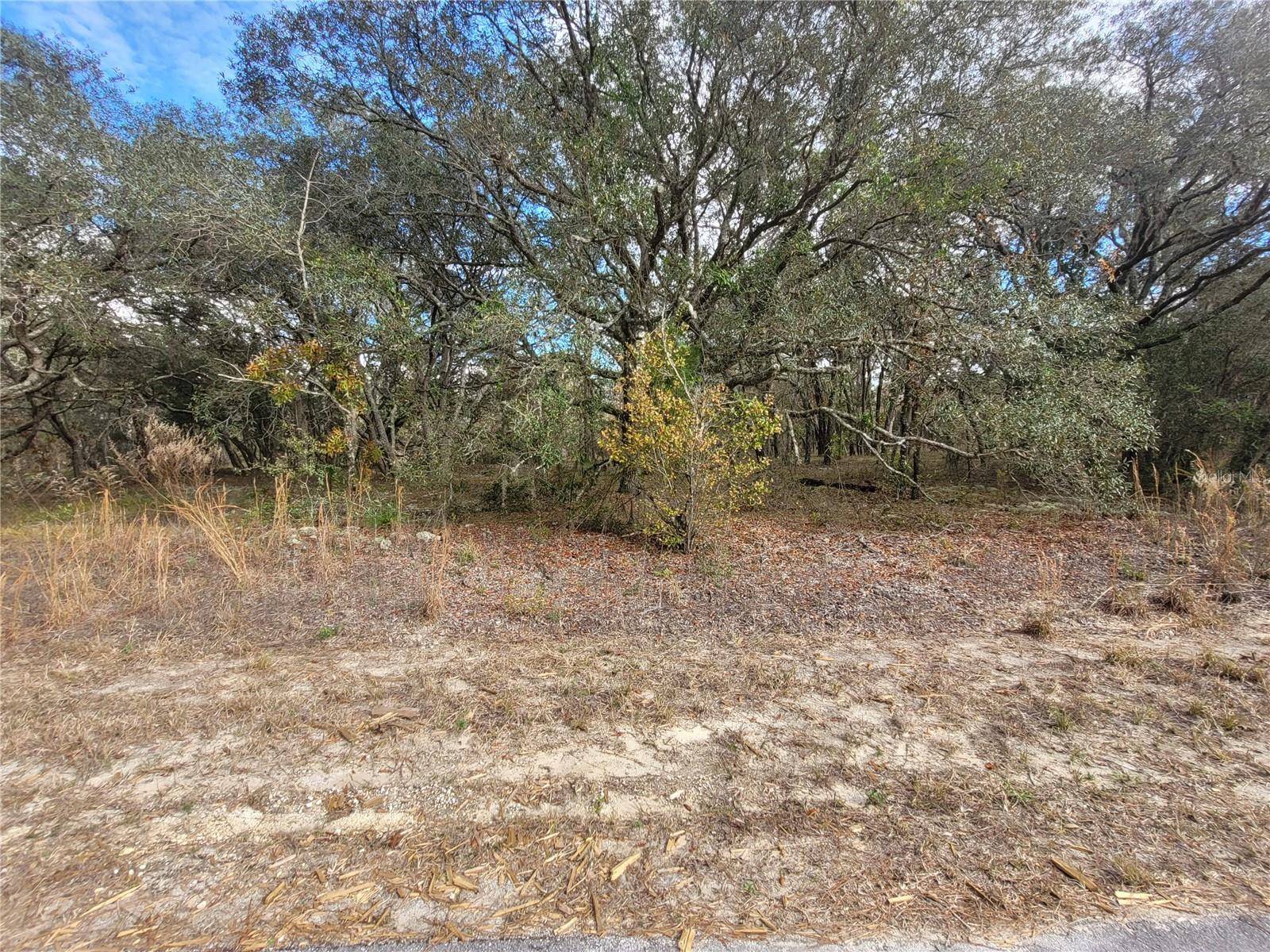 Dunnellon, FL 34431,Lot 34 SW TAMIAMI PL