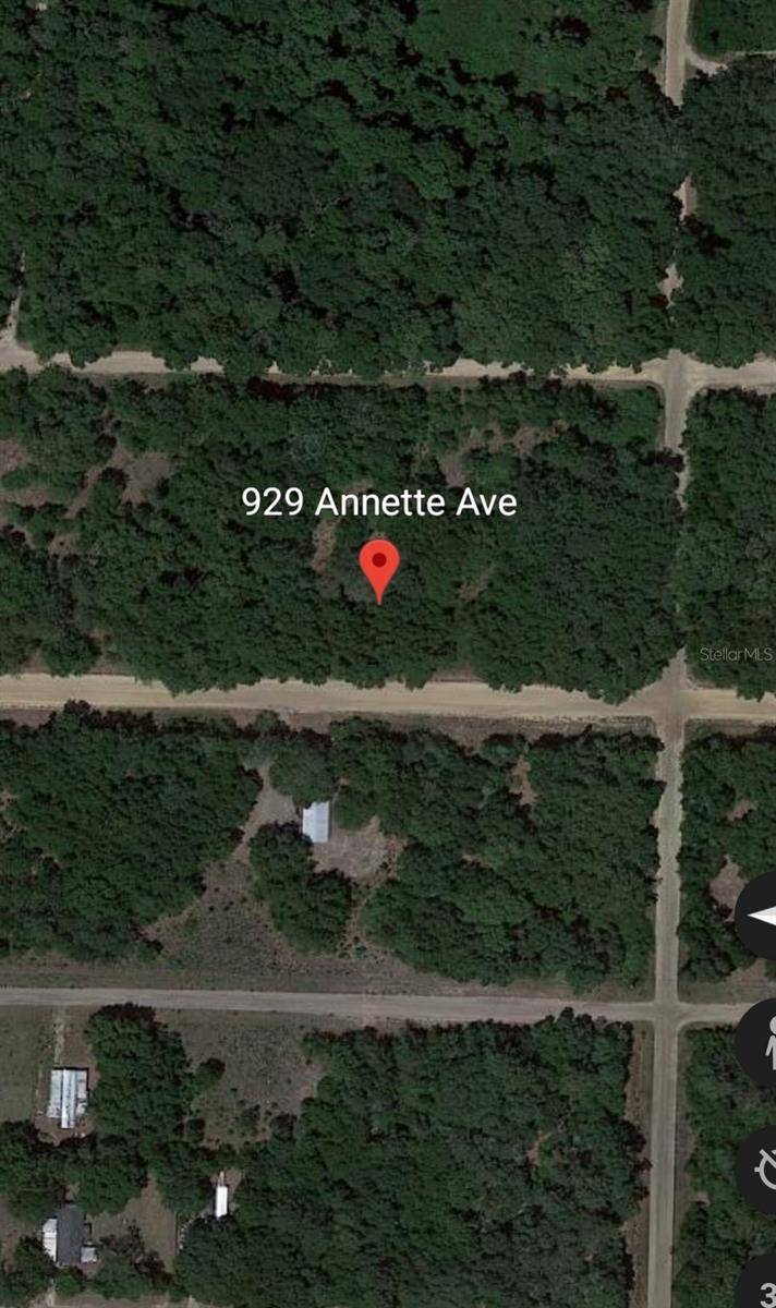 Interlachen, FL 32148,929 ANNETTE AVE