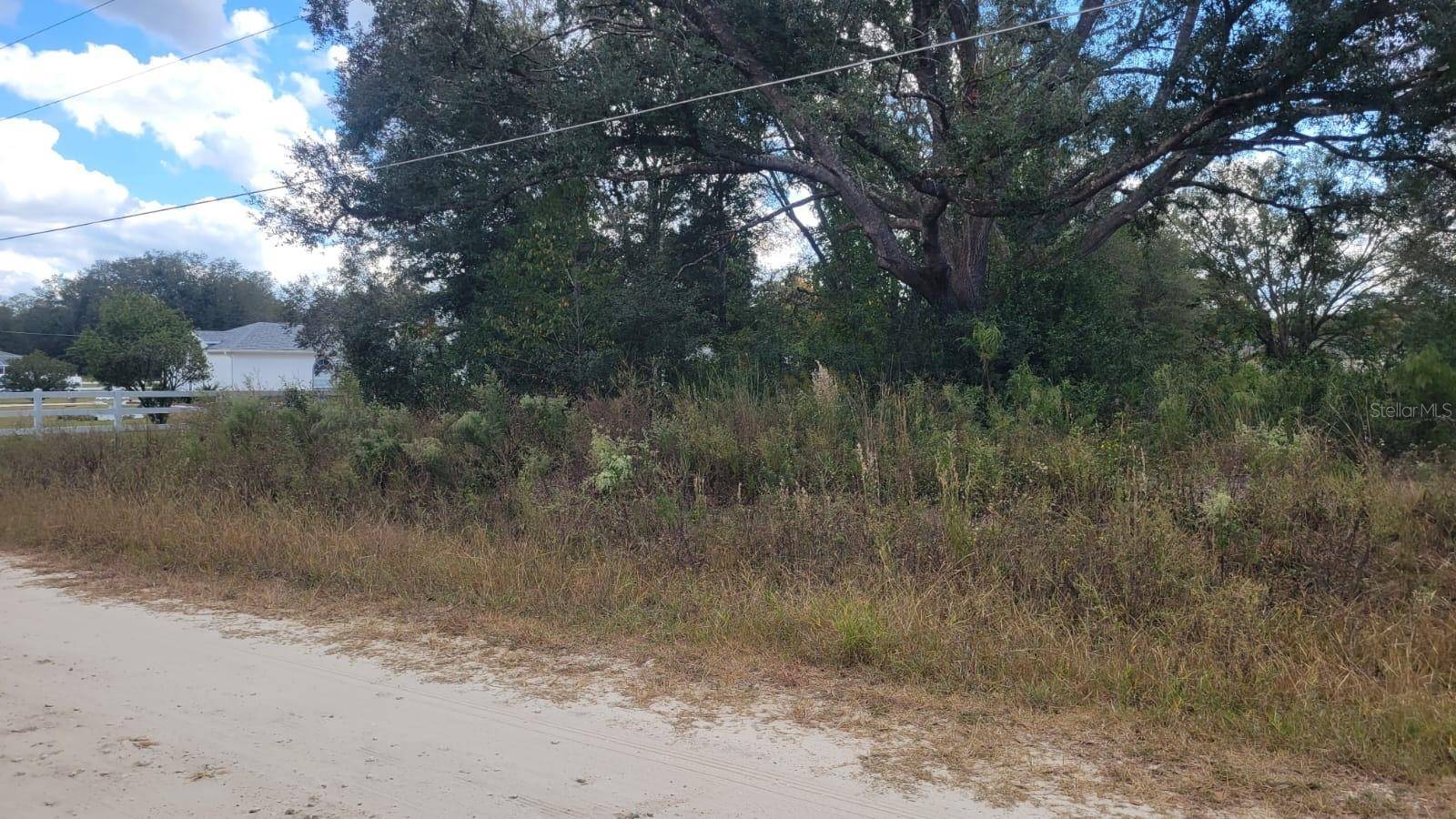 Dunnellon, FL 34432,0 SW 115TH PL