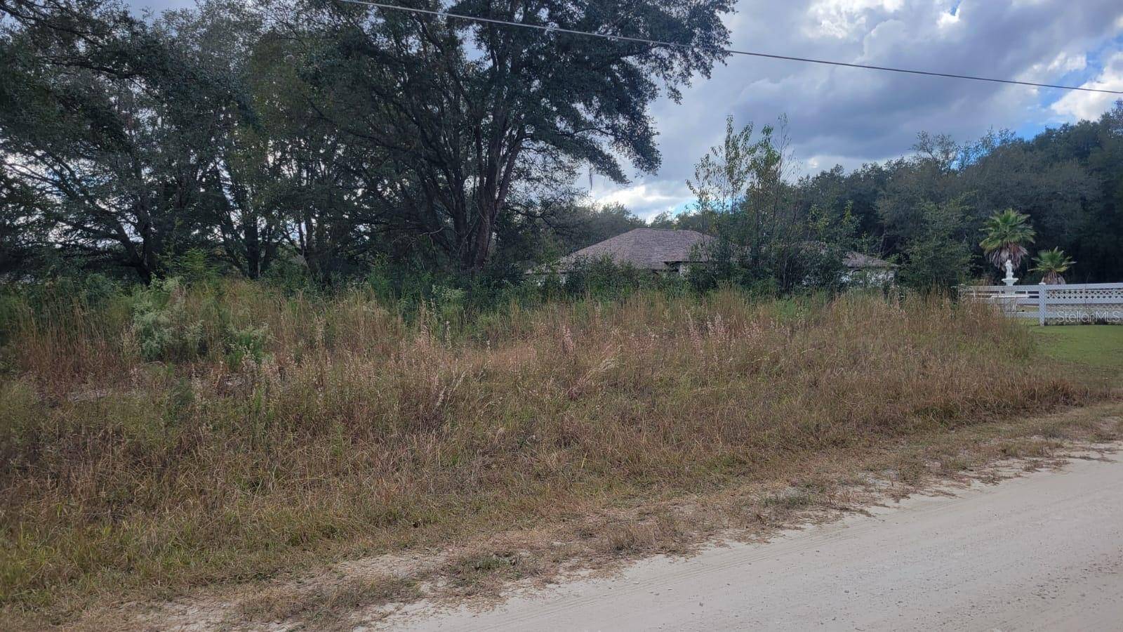 Dunnellon, FL 34432,0 SW 115TH PL