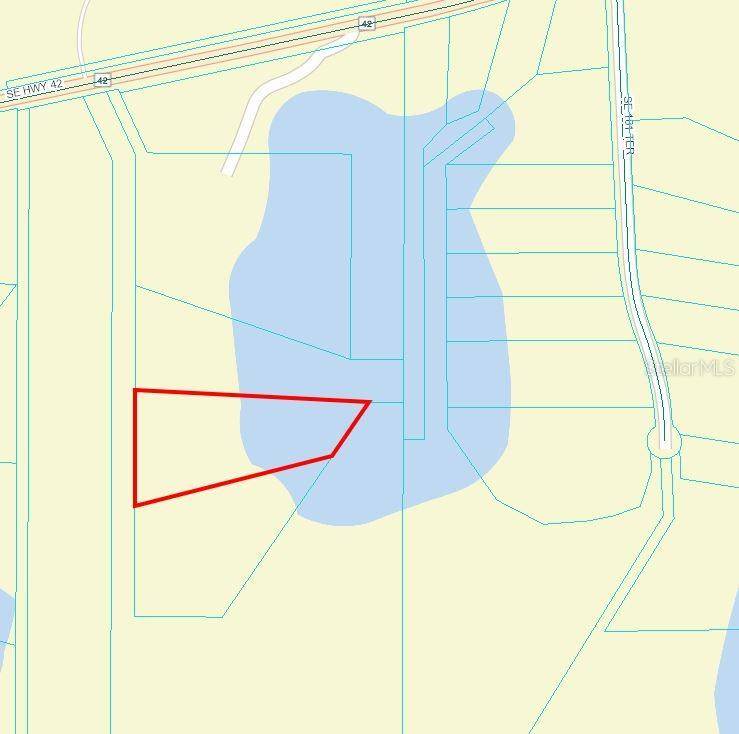 Weirsdale, FL 32195,TBD SE STATE RD